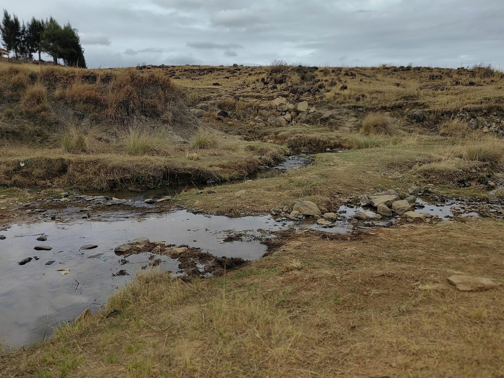 457437817_485718777754424_6408625661967716343_n